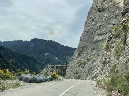 tas1 1