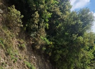 Βελτιώνονται οι στροφές στη Γρανίτσα – Στόχος η Οδική Ασφάλεια στη Δυτική Ευρυτανία tasios