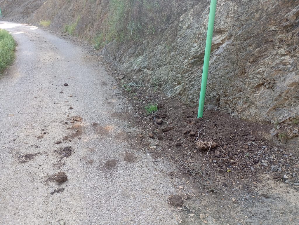 κατω ραπτοπουλο1