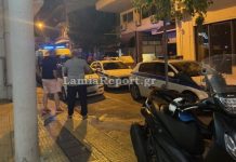 img 4347 1 600x338 1