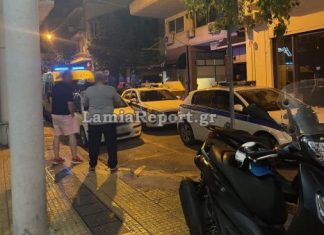 img 4347 1 600x338 1