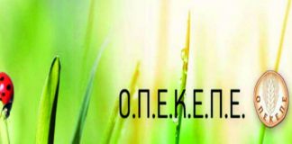 opekepe