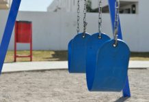 pexels padrinan 317262