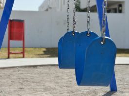 pexels padrinan 317262