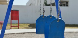 pexels padrinan 317262