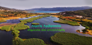 screenshot 2025 06 22 140339