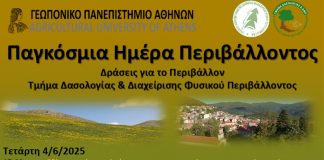 ΗΜΕΡΑ ΠΕΡΙΒΑΛΛΟΝΤΟΣ