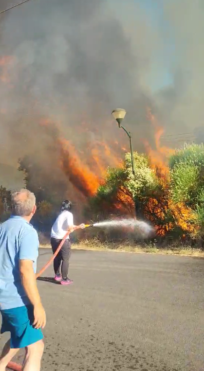 Στιγμιότυπο οθόνης 2025 07 08 225559