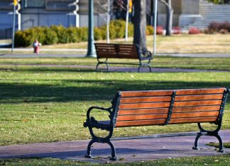 pexels brett sayles 937488