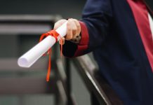 pexels ekrulila 2292837 1