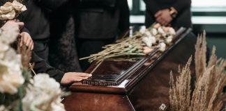 pexels pavel danilyuk 7317916