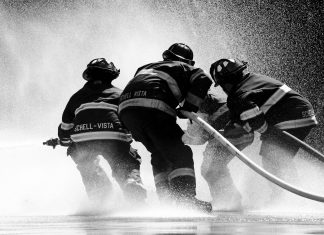 pexels pixabay 266403