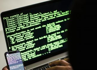 pexels sora shimazaki 5935791