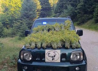 Ξαναπιάστηκε στα πράσα με 10 κιλά τσάι του βουνού – Ο ‘γνωστός ύποπτος’ της Φουρνάς viber image 2025 06 30 16 07 31 214 e1751368582590 585x351 1