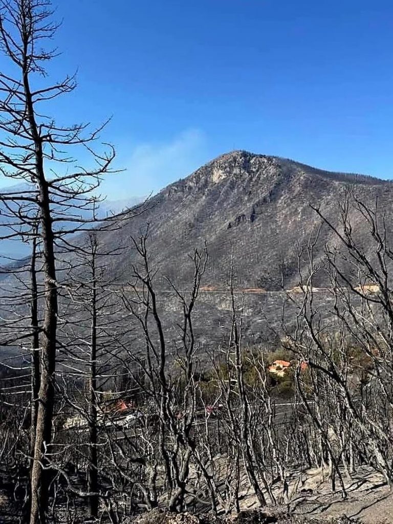 ΦΕΝΕΟΣ ΦΩΤΙΑ ΔΟΜΝΙΣΤΑ