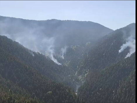 ΦΩΤΙΑ ΔΟΜΝΙΣΤΑ 1