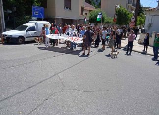 Πορεία αλληλεγγύης για τη Γάζα στο Καρπενήσι 49c23078 ea4c 4e09 9c13 dbe23769c7cb 1