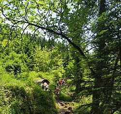 Δεν θα γίνουν εκδηλώσεις τον Αύγουστο στην Παύλιανη- Τώρα θα καθοριστεί το μέλλον του χωριού μας λένε οι κάτοικοι paul