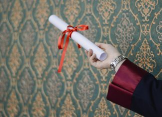 pexels ekrulila 2293027