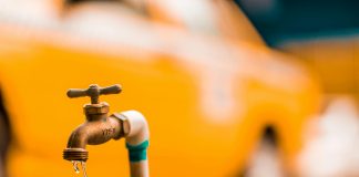 pexels jibarofoto 2339722