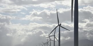 pexels jemsanchez 1108814