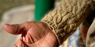 pexels nishantaneja 15293752 696x928 1