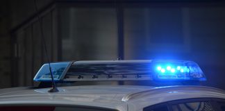 pexels pixabay 532001 4