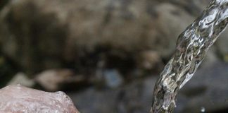 pexels samad deldar 14175 66346