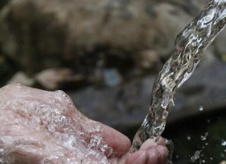 pexels samad deldar 14175 66346