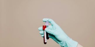 pexels karolina grabowska 4040561