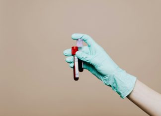 pexels karolina grabowska 4040561