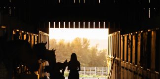 pexels theotherkev 3149048