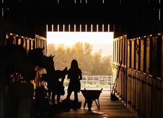 pexels theotherkev 3149048