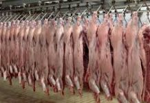 Δημοπρασία για την Εκμίσθωση των Δημοτικών Σφαγείων στην Περιοχή Κεφαλόβρυσο Δημοπρασία για την Εκμίσθωση των Δημοτικών Σφαγείων στην Περιοχή Κεφαλόβρυσο