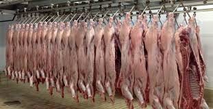 Δημοπρασία για την Εκμίσθωση των Δημοτικών Σφαγείων στην Περιοχή Κεφαλόβρυσο