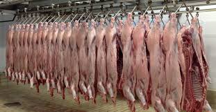 Δημοπρασία για την Εκμίσθωση των Δημοτικών Σφαγείων στην Περιοχή Κεφαλόβρυσο