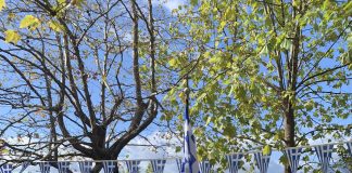 ΠΑΛΑΙΟΚΑΤΟΥΝΑ