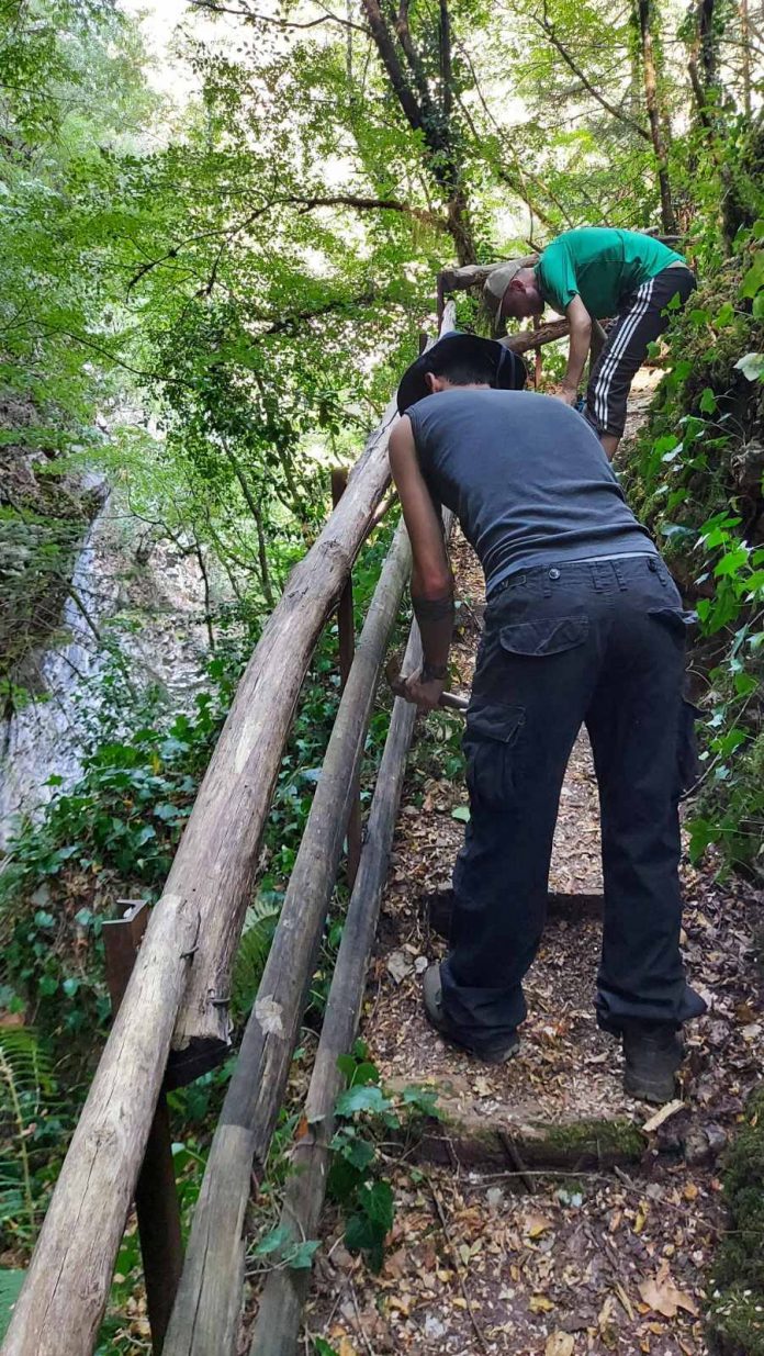 ΤΟΡΝΟΣ 1 ΤΟΡΝΟΣ 1