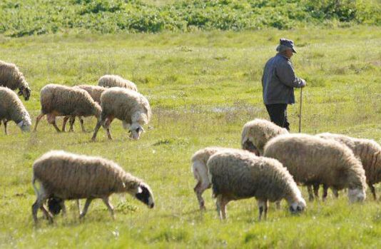 κτηνοτρ
