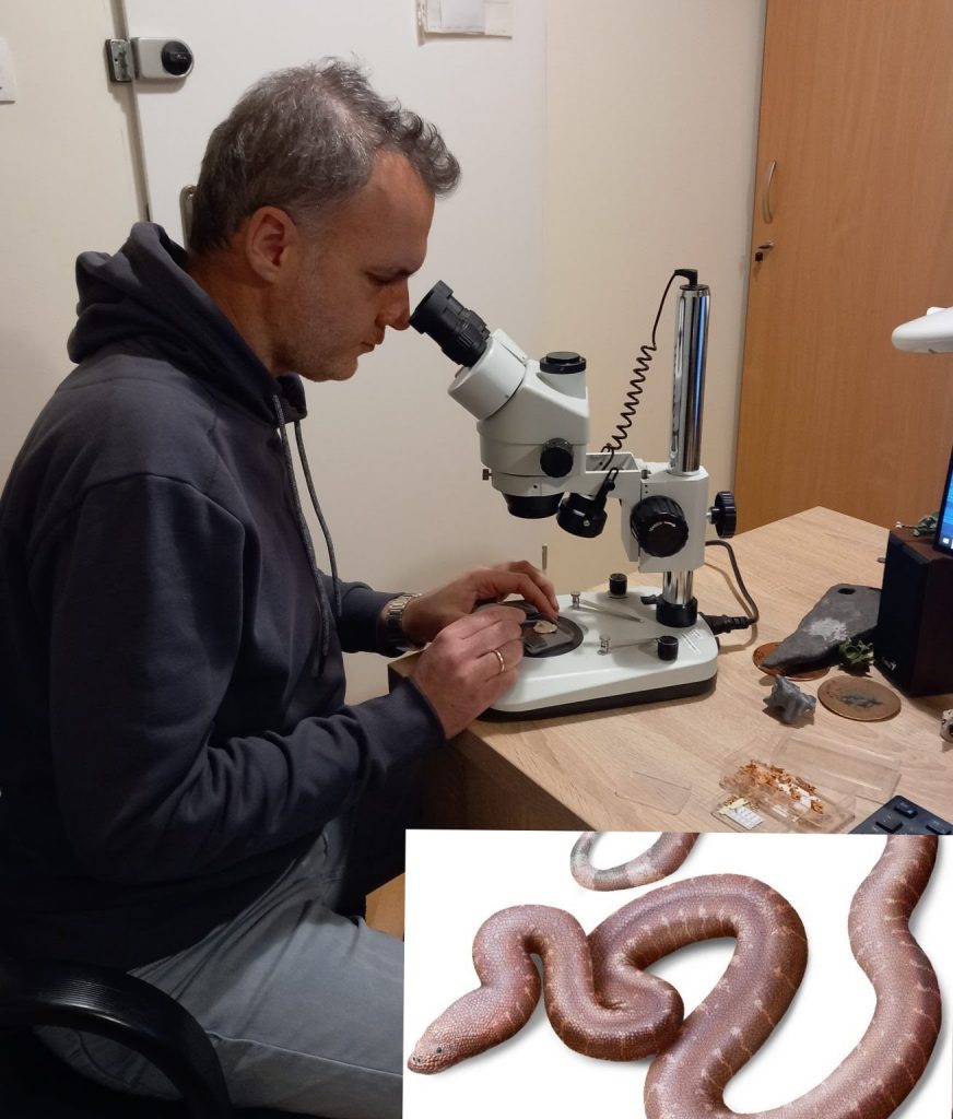 ΠΑΛΑΙΟΝΤΟΛΟΓΟΣ