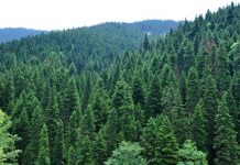 Σιωπηλή λεηλασία evritania 1