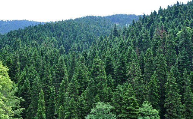 evritania 1 evritania 1