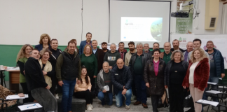 screenshot 2025 11 04 194849