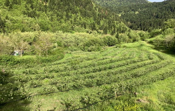 screenshot 2025 11 04 195018