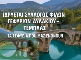 Ιδρύεται ο Σύλλογος Φίλων Γεφυριών Αυλακίου (2)