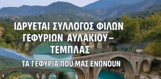 Ιδρύεται ο Σύλλογος Φίλων Γεφυριών Αυλακίου (2)