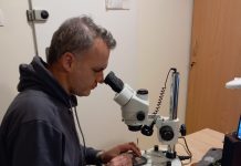 ΠΑΛΑΙΟΝΤΟΛΟΓΟΣ