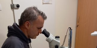 ΠΑΛΑΙΟΝΤΟΛΟΓΟΣ