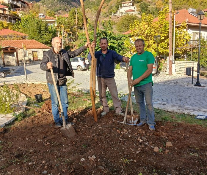 ΠΡΑΣΙΑ ΠΡΑΣΙΑ