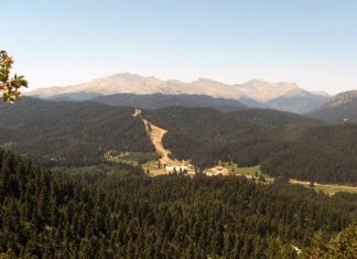 Δημόσια, ενιαία, αειφόρο διαχείριση των δασών εδώ και τώρα! δαση